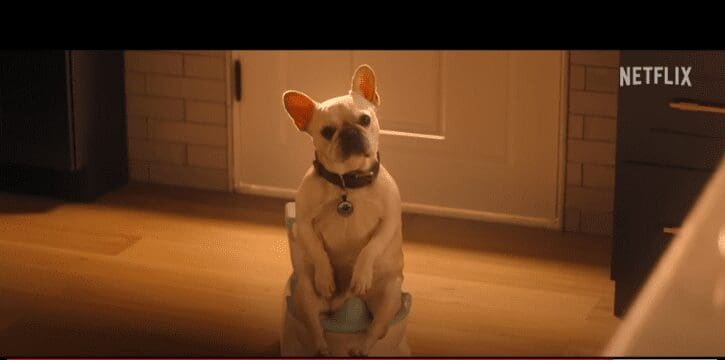 Potty training the dog. Source: Screenshot official trailer