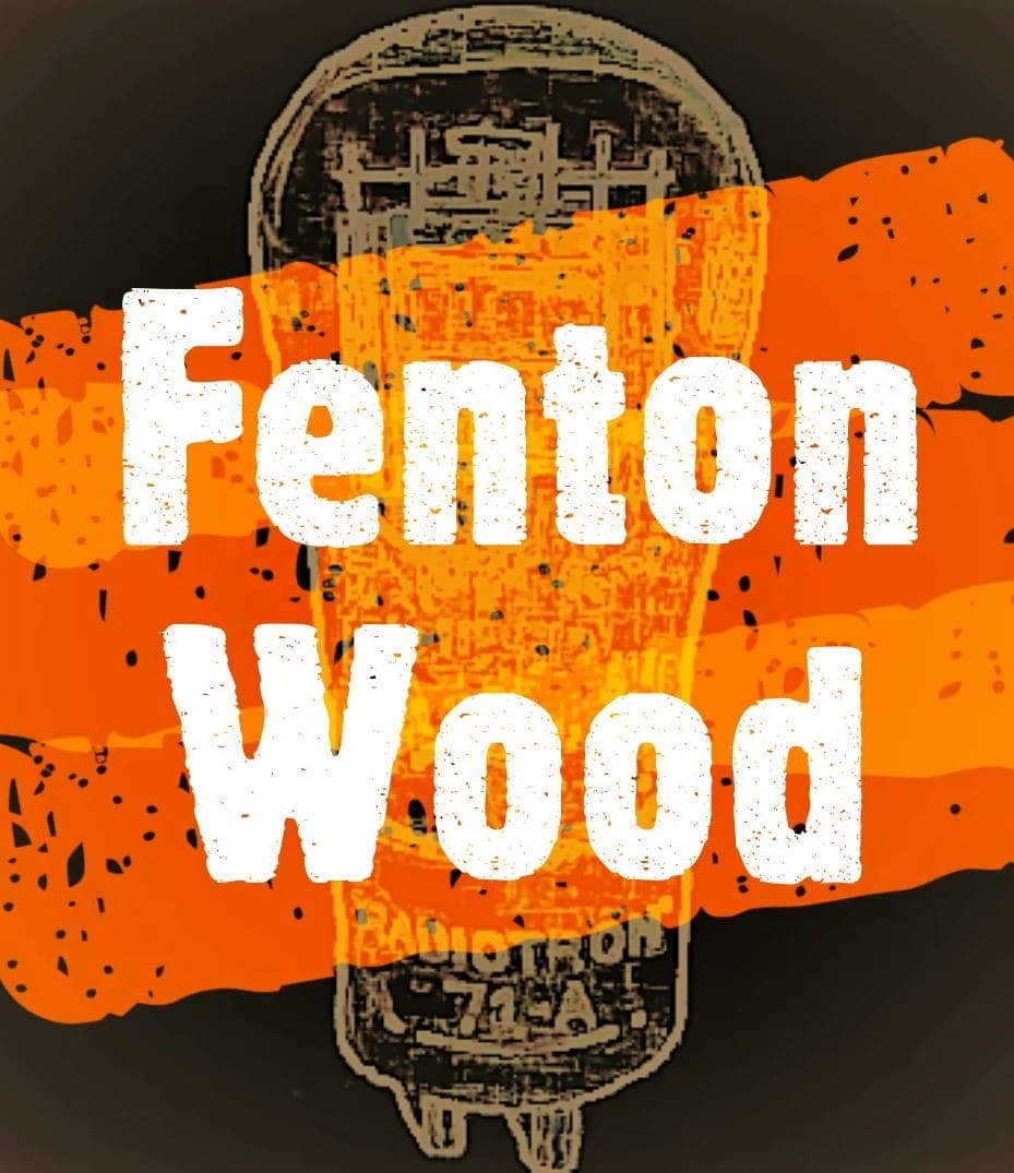 Fenton Wood author image