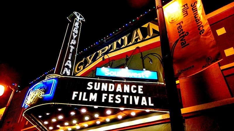 Will & Harper premiered at Sundance Film Festival 