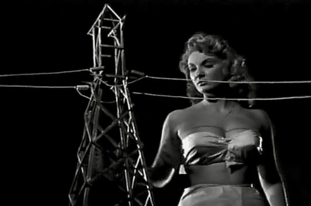 Attack of the 50-Foot Woman
Tim Burton
Warner Bros.
Gillian Flynn
Remake
1958 cult classic
50-Foot Woman
UFO encounter
Giantess
Christopher Guest