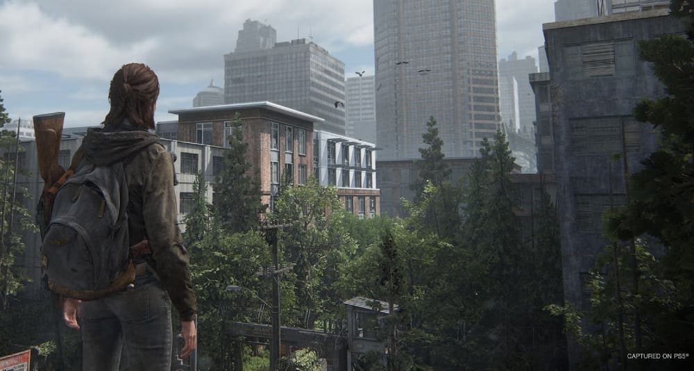 Ellie looking the ruins of a city