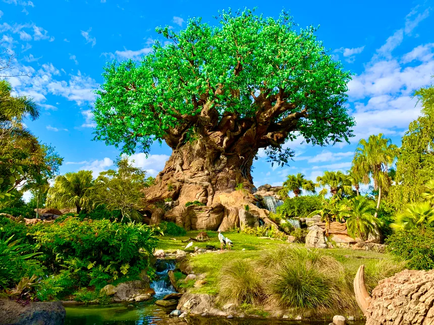 Tree of Life at Disney's Animal Kingdom